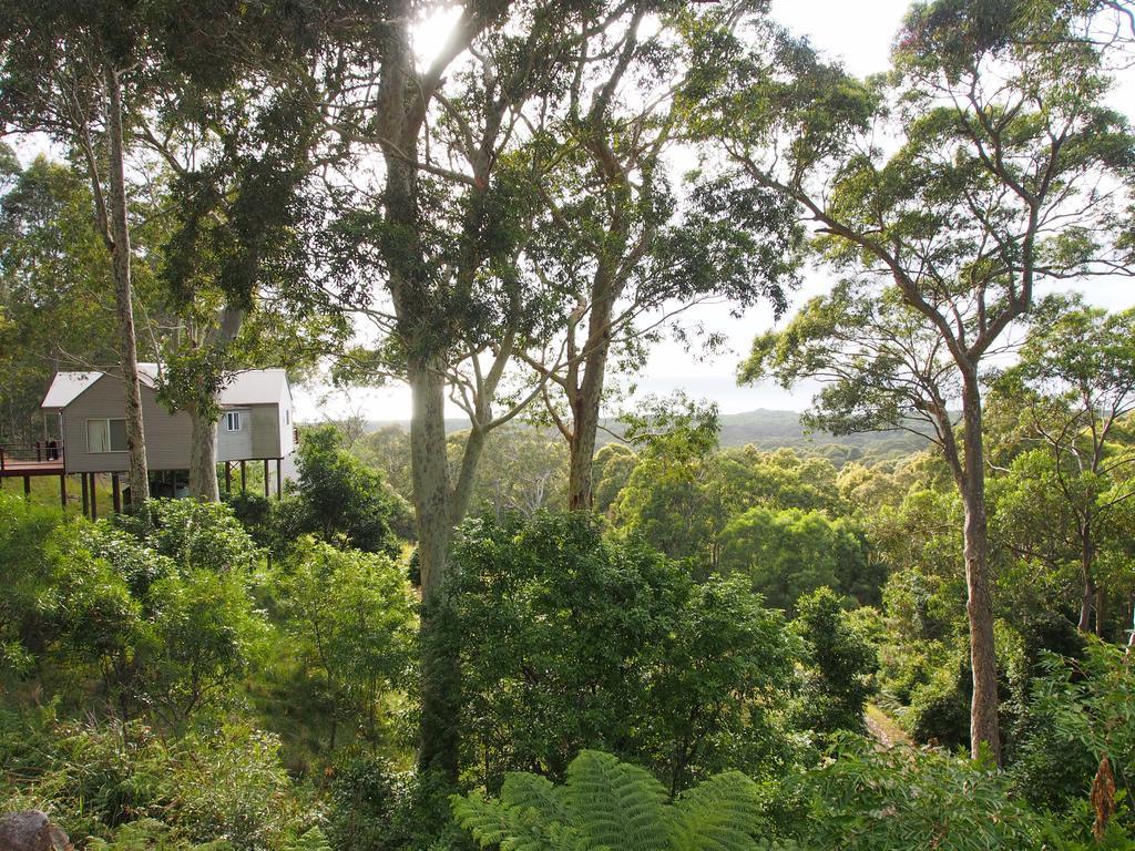 Bundle Hill Cottages Bawley Point الغرفة الصورة